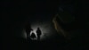 A Ukrainian man shines a flashlight as he and his son walk down a dark street during a blackout in Kyiv.