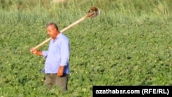 Lebaply kärendeçi. Arhiwden alnan illýustrasiýa suraty.