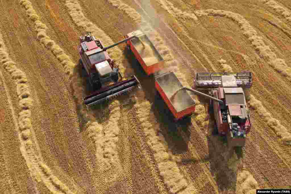 Agricultural machinery harvests wheat in a farming enterprise in Russia&#39;s Ryazon region. (TASS/Alexander Ryumin)&nbsp;