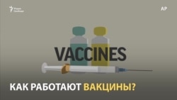 Что это значит на практике: сделать вакцину против коронавируса?