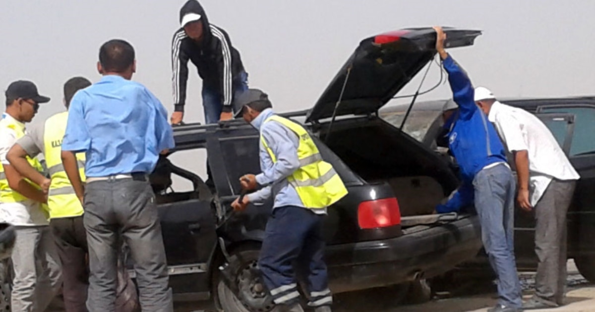 Анасы мен немересі лесбиянка