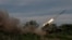 Ukrainian soldiers fire a BM-21 Grad multiple-launch rocket system toward Russian troops near the frontline town of Bakhmut on May 19.
