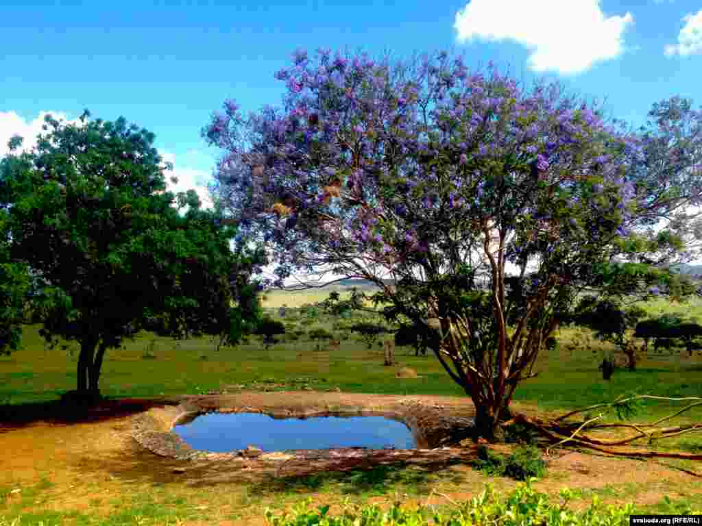 Suburbie la Mombassa, Kenia - fotografii dintr-o călătorie a lui Franak Viacorka.