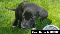 Иллюстративное фото