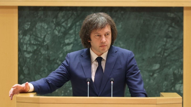 ვინ ცხოვრობს საქართველოში ქართველების გარდა - კობახიძე მიგრაციაზე, შობადობასა და პატრიოტიზმზე პარლამენტში