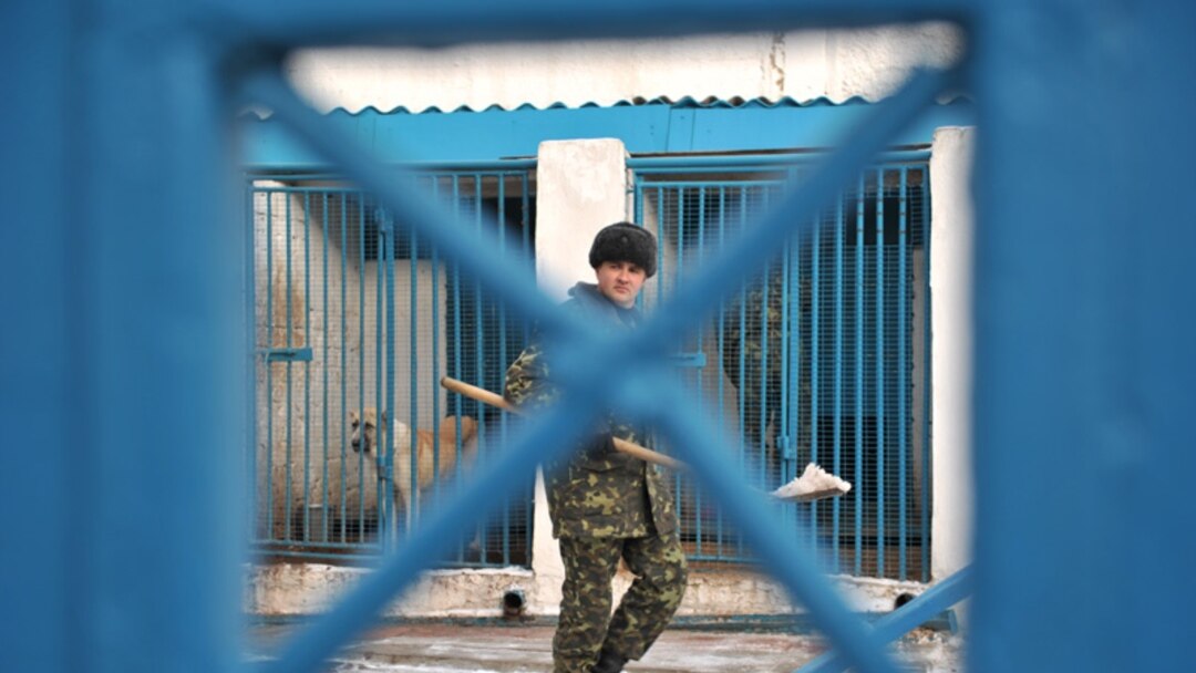 Қара ерлермен жыныстық қатынасқа түскен аналарды көрсететін порно комикстерді қараңыз.