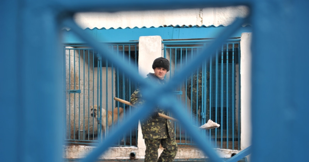 Әйелдердің заттармен бұрмаланған жынысы