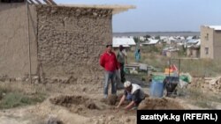 Бишкектеги жаңы конуштардын бири.
