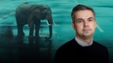 Пісьменьнік Саша Філіпенка. Раман "Слон". Ілюстрацыйны каляж. Свабода Premium 