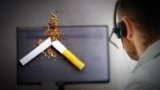 Quit smoking, helpline