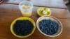 Belarus -- bilberry, blueberry, honey, general 