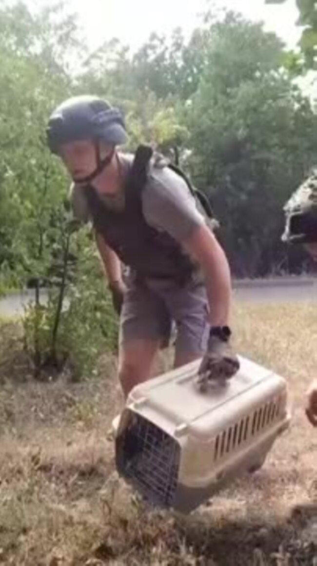 Ukrainian Volunteers Rescue The Pets Left Behind When Civilians Flee
