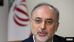 Iranian nuclear agency chief Ali Akbar Salehi said 25 kilograms of uranium had been produced at a 20 percent purity level so far.