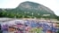 МДЦ «Артек» в Крыму. 2024-й год