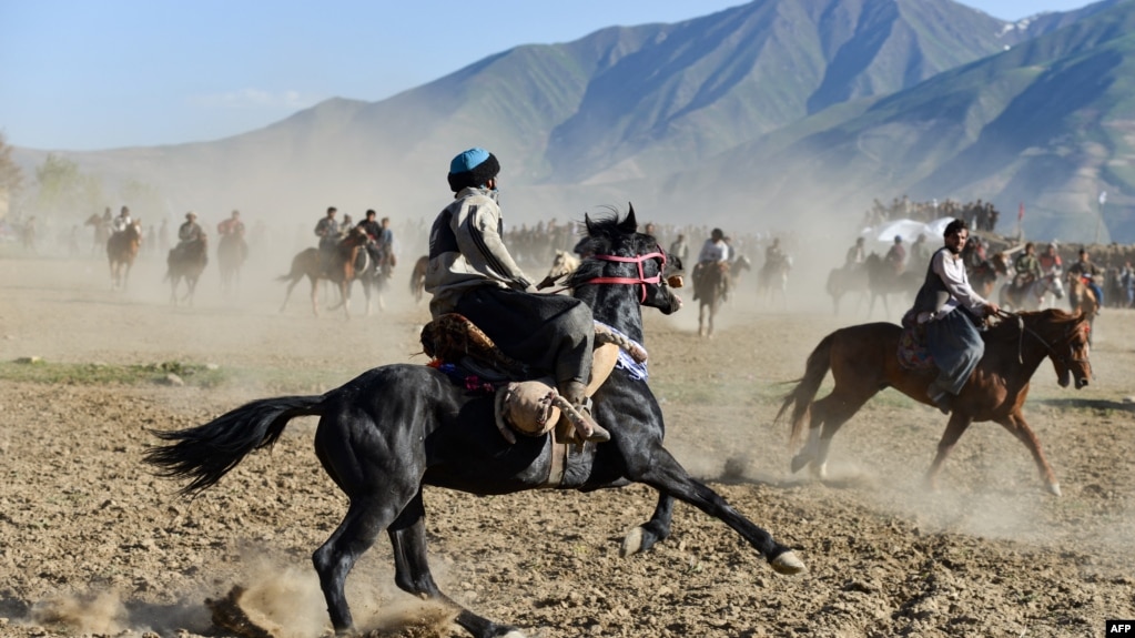 انځور له ارشیف څخه 