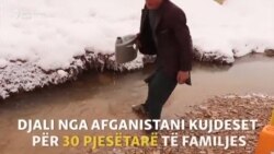 Djali afgan kujdeset për 30 pjesëtarë të familjes