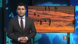 ازادي سټوډیو د نړۍ مهم خبرونه وړاندې کوي