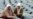 Srebrenica Anniversary Marked With Mass Funeral