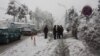 Наврӯз омад. Сафедии барф ба ҷои гул дар шохаҳо