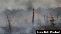 Požar u Amazonu (foto-arhiva)