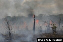 Așa a ajuns să arate mare parte din pădurea amazoniană, una dintre ultimele speranțe pentru redresarea planetei în ceea ce privește încălzirea globală. Sub conducerea președintelui Bolsonaro, liderul de extremă dreapta a permis defrișări masive.