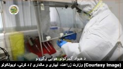 یو لابراتوار
