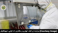 آزمایشگاه بیماریهای حیوانی که توسط وزارت زراعت ساخته شده است