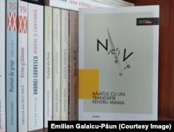 Coperta cărții „Băiatul cu un trandafir pentru mama” de Nicolae Vieru