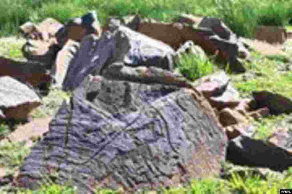 Саймалуу-Таш или расшитые камни Тянь-Шаня #4