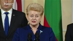 Lithuanian President Says Russia Uses Energy For 'Manipulation'