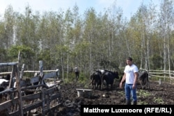 Mihail Utrobin na svojoj farmi na Dalekom istoku, izgrađenoj na pet hektara zemlje koju je stekao besplatno od ruske države. Iako još nije profitirao, njegova farma dnevno proizvodi 200 litara mlijeka i proizvodi vlastiti organski sladoled.