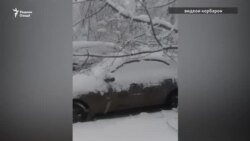 Барф дарахтро шикаст, дарахт мошинро