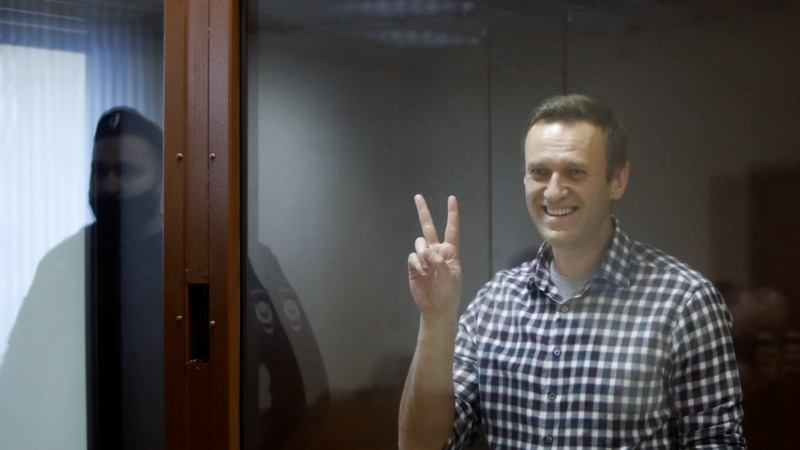 Навальный Владимир өлкәсендәге колониягә китерелгән