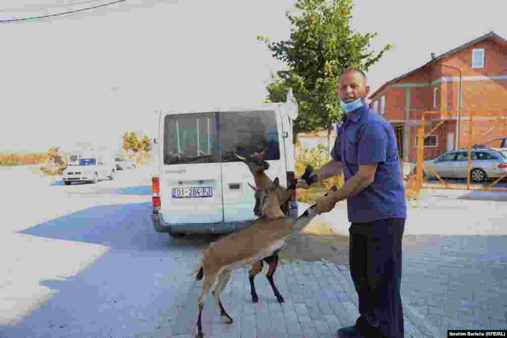 Është traditë që për Kurban Bajram të theret një kafshë.