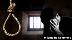 Pakistanda ölüm jezasyna girizilen gadagançylyk 2014-nji ýylda aýrylany bäri 300 töweregi adam jezalandyrylyp öldürildi.