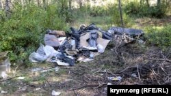 Бытовой мусор в леске в районе балки Бермана, архивное фото