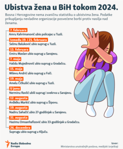 Cases of femicide in Bosnia and Herzegovina during 2024. Infographic