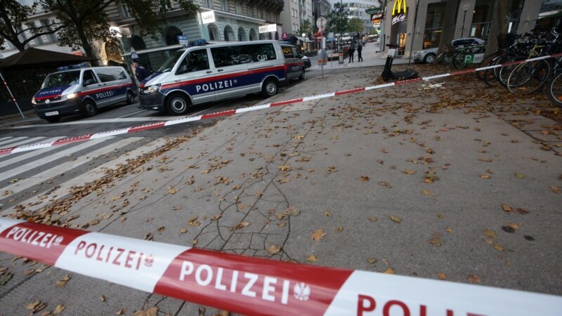 MPJD: Tetë të lënduar nga aksidenti në Austri 