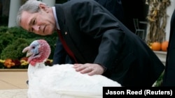 Ifjabb George W. Bush volt amerikai elnök megkegyelmez a May névre keresztelt pulykának a 2007-es hálaadási ceremónián.