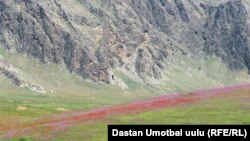 Кыргызстан.