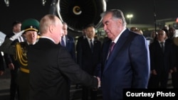 Владимир Путин жана Эмомали Рахмон. 2025-жылдын 8-октябры. Душанбе.