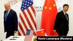 Donald Tramp və Si Cinpin