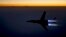 A U.S. Air Force B-1B Lancer supersonic bomber flies over northern Iraq after conducting air strikes in Syria against IS targets. (file photo)