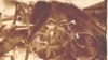 Григорій Онищенко повернувся з фронту. Фото біля землянки, де жив його батько. Бахмач, Чернігівщина, 1947 рік