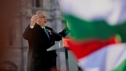 Гергей Нилаш: «Орбан устал, а его политика и риторика уже просто не сработали»
