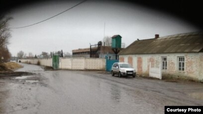 Yangi porno parodiyalarni onlayn tomosha qiling