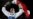 Iran's Only Female Olympic Medalist Says She's Permanently Left Country