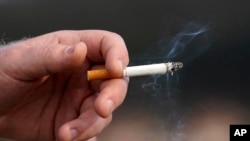 سازمان ملل متحد تنباکو را بزرگترین عامل مرگ‌های قابل پیش‌گیری در جهان خوانده است.