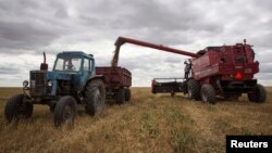 Комбайн буудайды жыйноодо, Актык дыйкан чарбасы, Астана областы, Казакстан, 10-сентябрь 2013-ж.