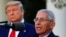 Dr. Anthony Fauci, directorul Institului Național de Alergii și Boli Infecțioase la conferința de presă cotidiană a președintelui Donald Trump despre evoluția pandemiei de coronavirus în Statele Unite. 
